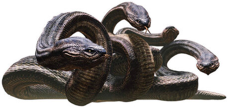 Snake