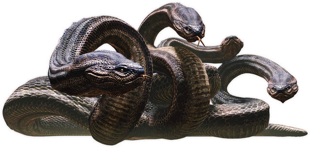 File:Snake.jpg