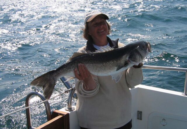 File:12-8 Bass.jpg