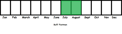 Buff Footman TL