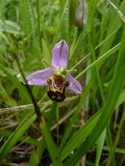 P1150797