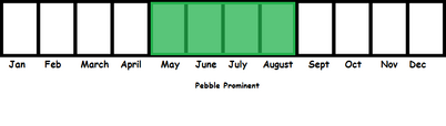 Pebble Prominent TL