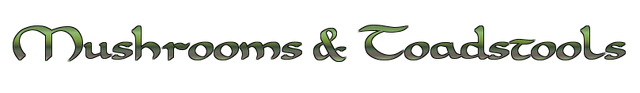 File:Mushroomsandts.png
