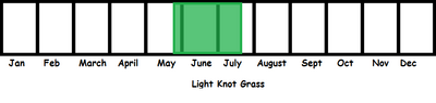 Light Knot Grass TL