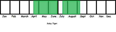 Ruby Tiger TL