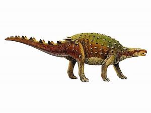 Priodontognathus-unknown