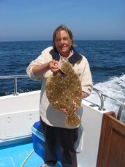 Norma's Brill 4-10