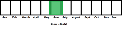 Blomer's Rivulet TL