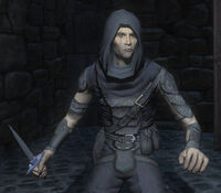 TDS garrettdagger