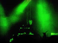 Foxx Marghera green