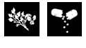 Medikamentestats.png