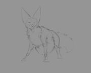 Fennec Wolf WIP 1