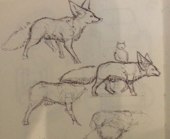 File:Fennec wolf sketches ipoke.jpg
