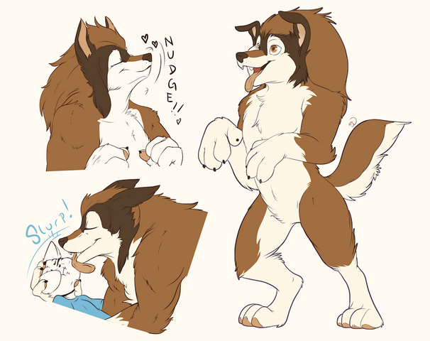 File:Werecollie.png