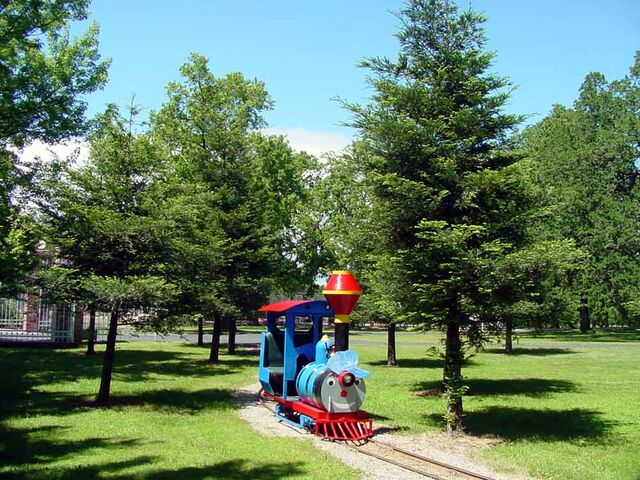 File:Little6aredwoods.jpg