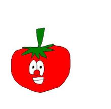 40445 the tomato