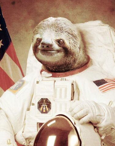 File:AstronautSloth.jpg