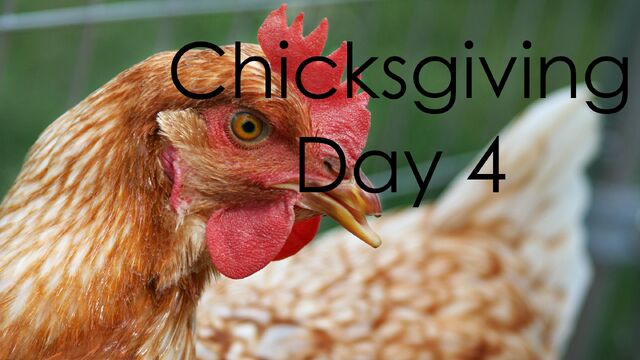File:ChicksgivingDay4.jpg