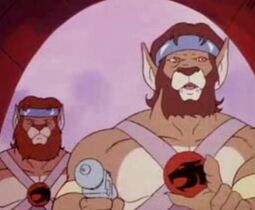 Thunder guards