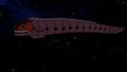 Scrapes ship