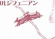 SanosunBridge-1-.png