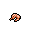 shrimp