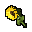 sunflower-2753