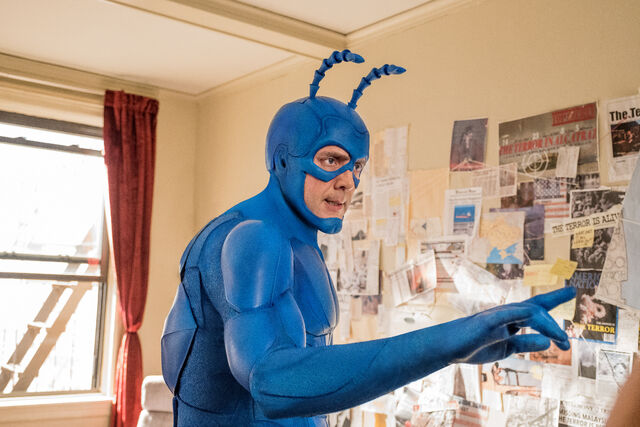 File:Tick in a room.jpg