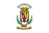 Alajuela flag.gif