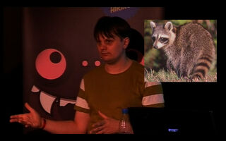 Eskil raccoon2