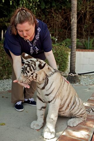 File:Houck with tiger.jpg