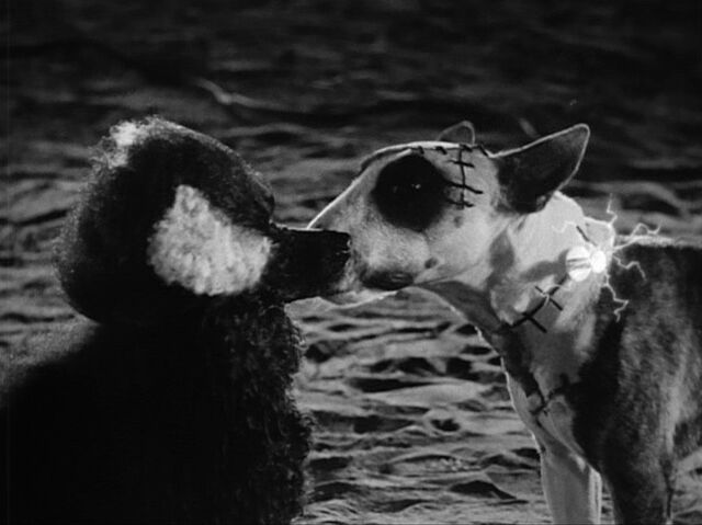 File:Kiss.jpg