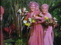 Thumbnail for version as of 18:02, October 23, 2011