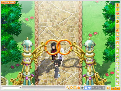 Ring gate