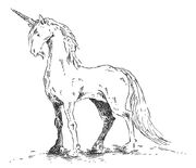 Einhorn