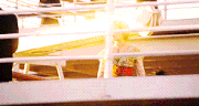 Tumblr nf0axxABlb1qcl5j5o2 250