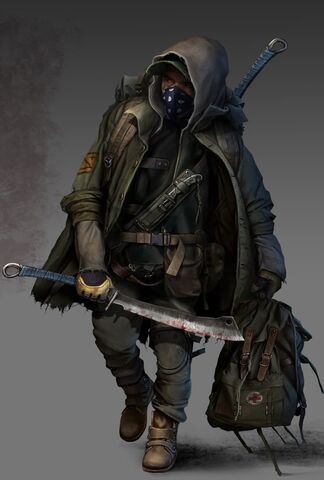 File:Raider survivor 1024.jpg