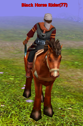 Black Horse Rider