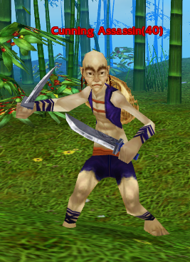 Cunning Assassin