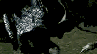 Лохматики.gif