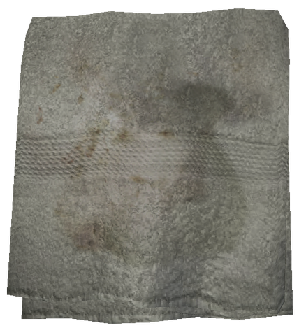 File:Filthy Towel.png