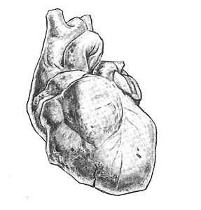 Heartofstone