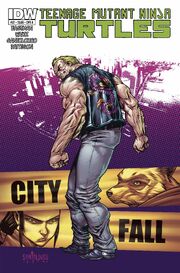 TMNT 27A