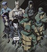 IDW Turtles PDrags.jpg