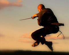Ninjutsu-Jump.jpg