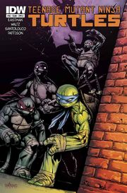 TMNT 33A