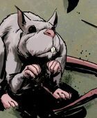 IDW v1 01 p11 Splinter.jpg