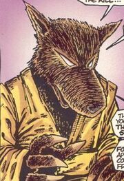 Splinter mirage.jpg