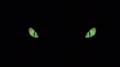Thumbnail for version as of 16:06, April 14, 2013