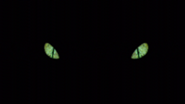 File:The eyes.png